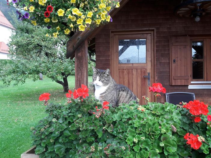 Im Garten