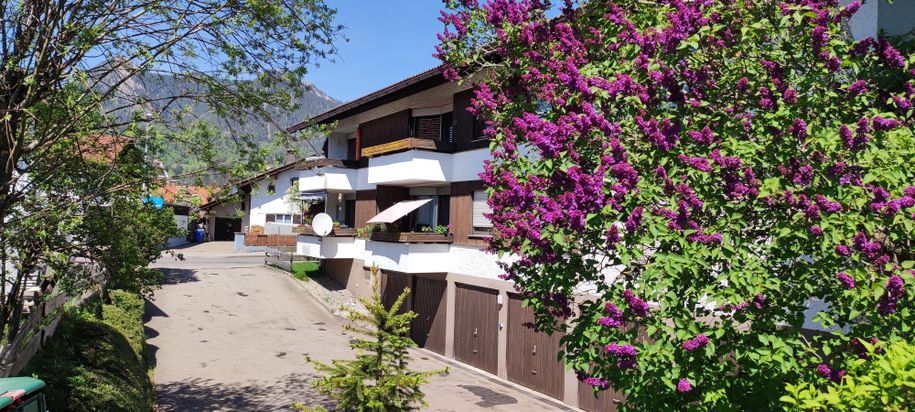 Ferienwohnung Fluhenstein Sommer