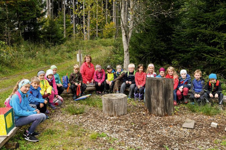 WaldSinneaktiv Pfad ist derzeit nicht begehbar