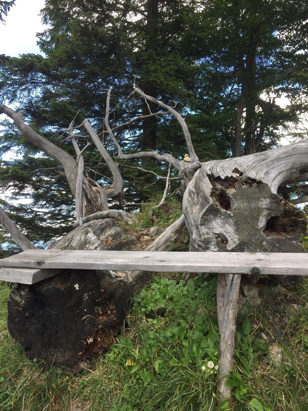 Aussichtsbänkle am Gipfelweg