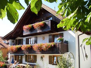 Im Garten