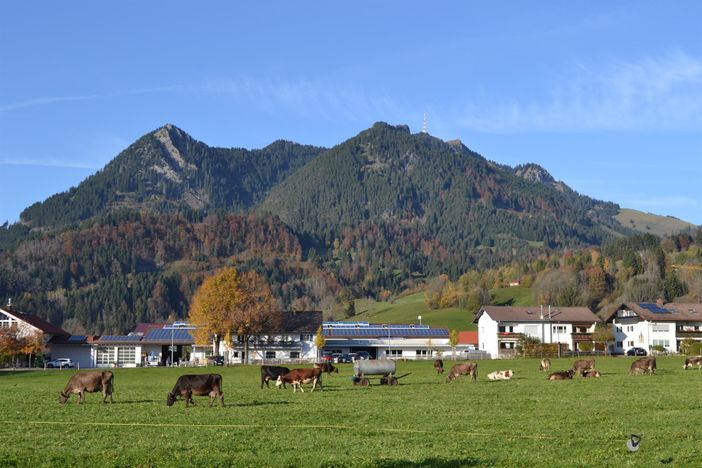 Balkonblick.     (2018)