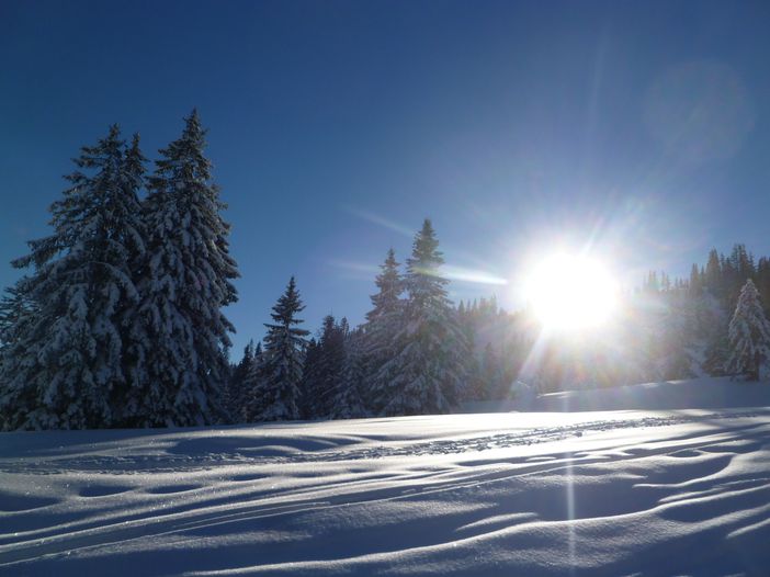 Beim Waibel