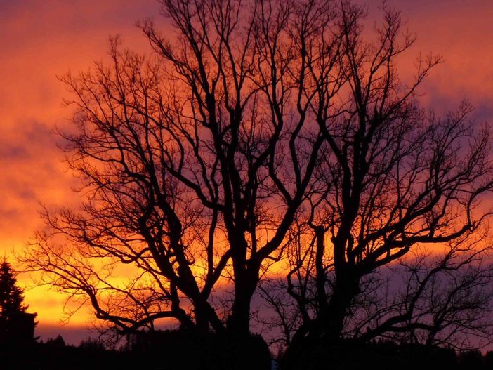 Morgenstimmung