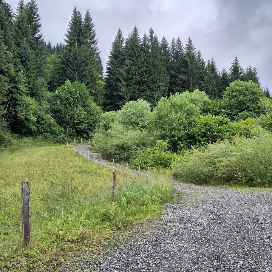 Balderschwang- Sich zit long Weg