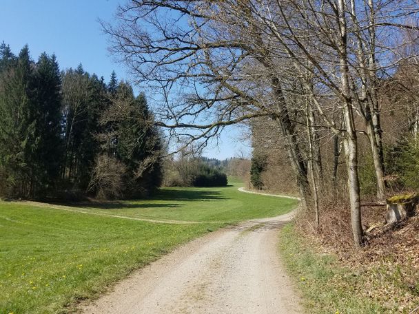 Schönes Wiesental bei Englisweiler