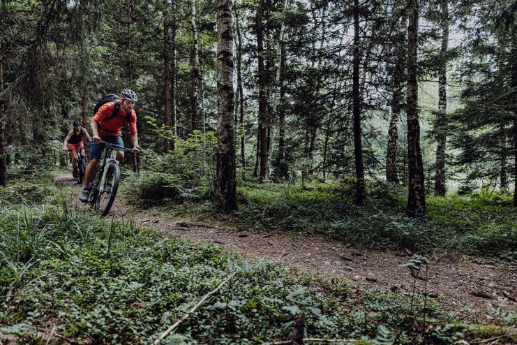 Naturbiken Trail @Allgäu GmbH, Martin Erd