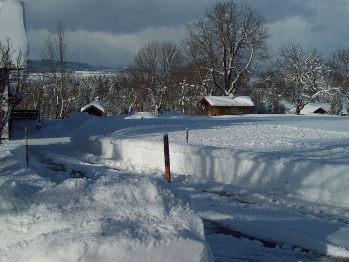 Im Winter