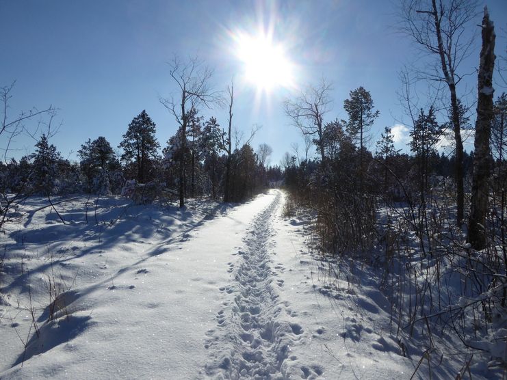 Winterwanderweg Eisenharz