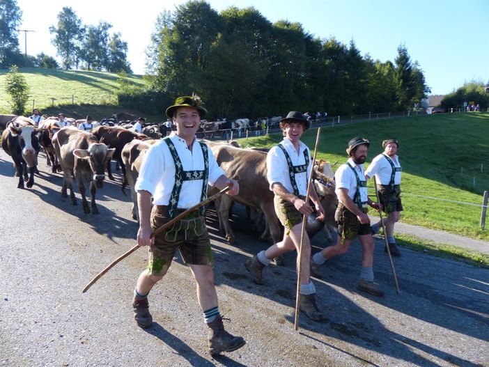 Viehscheid