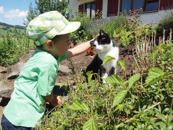 katze-kind
