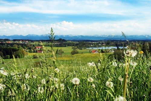 Blick vom Aussichtspunkt Buschel