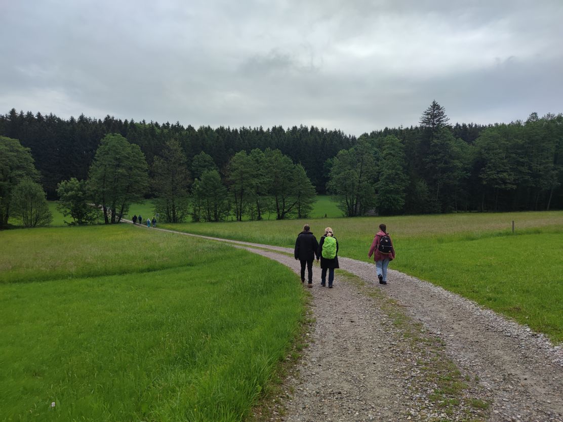 Wanderung Stadtwald Mindelheim