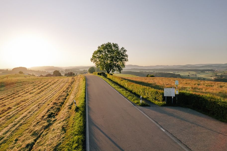 Siggener Höhe im Abendlicht