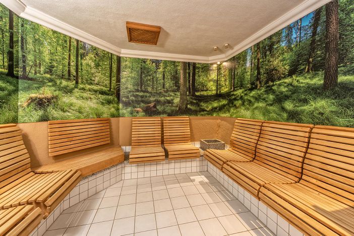 Bio-Sauna