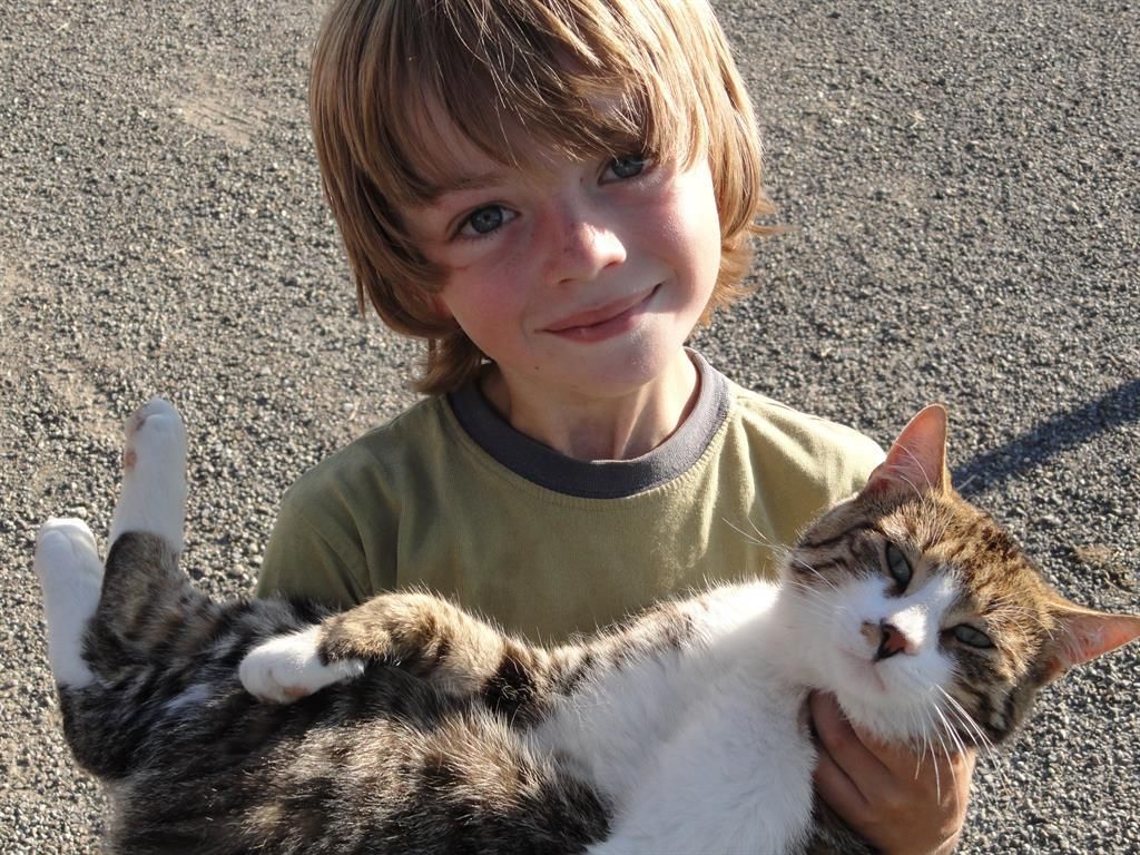 Ferienhof Almfrieden - die Hauskatze