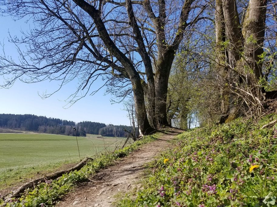 Ausblick beim Schindbüchel