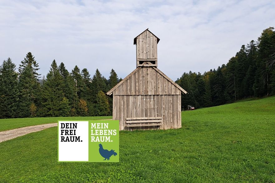 Am höchsten Punkt eine Pause machen oder dem Rundweg bis ins Dorf folgen?