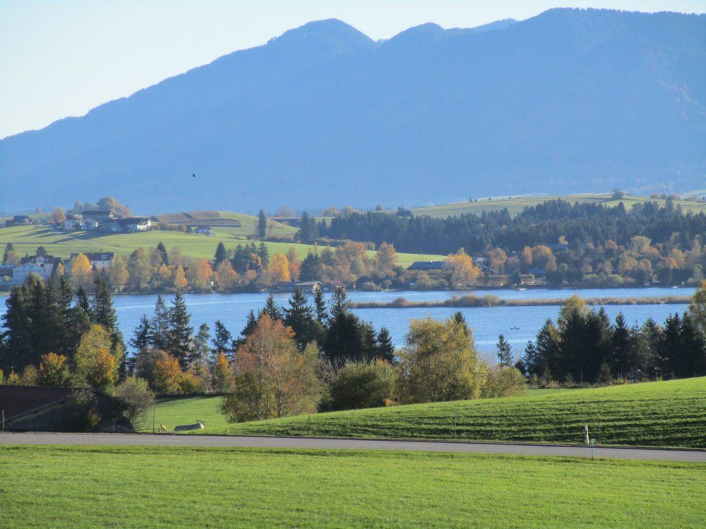 Blick auf den Hopfensee von unserem Hügel