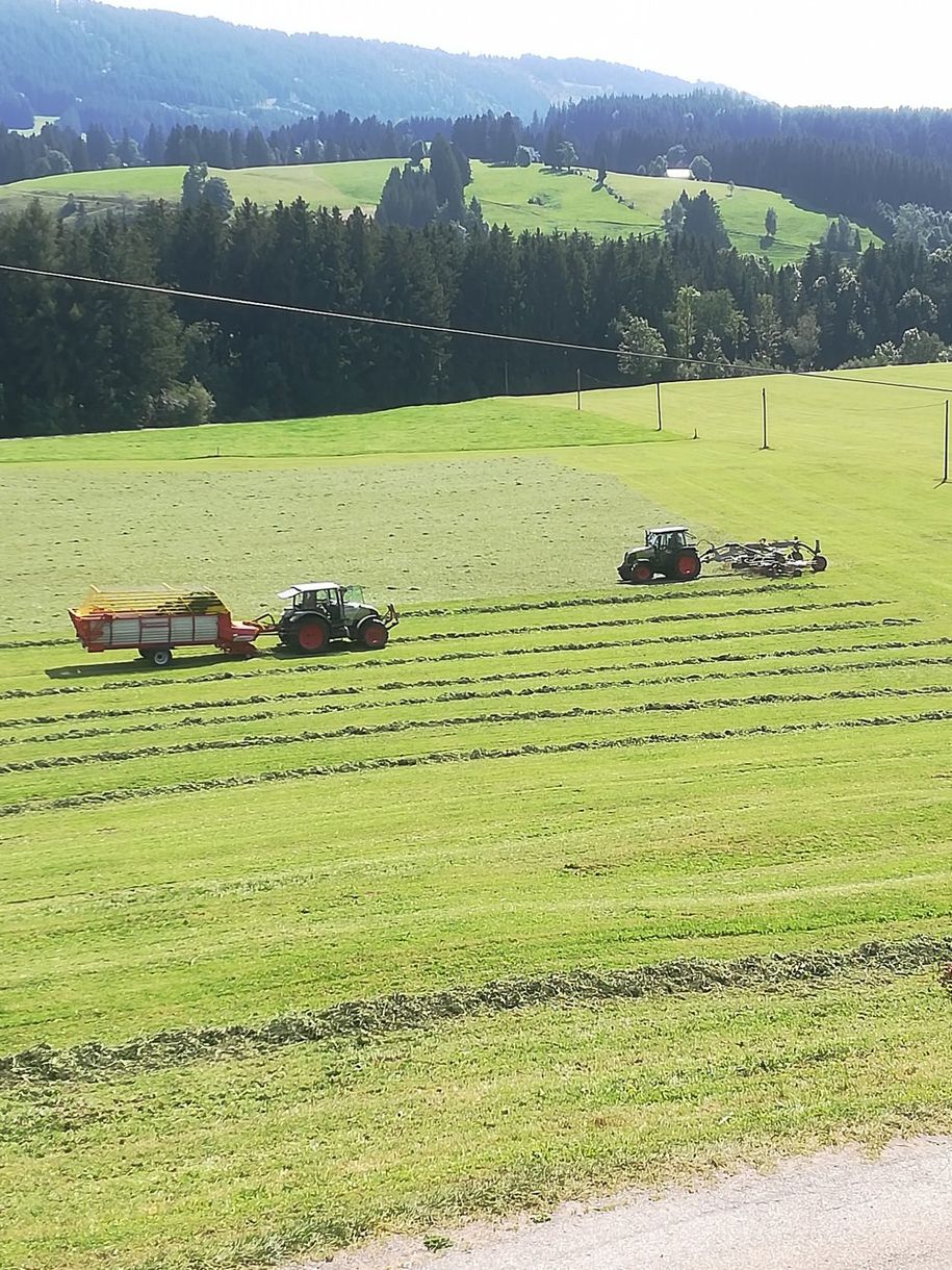 Bei der Ernte