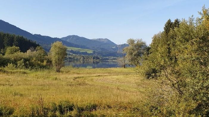 Weg am Grüntensee
