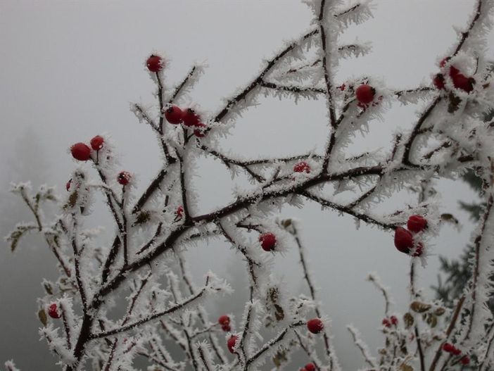 Winterbild 2