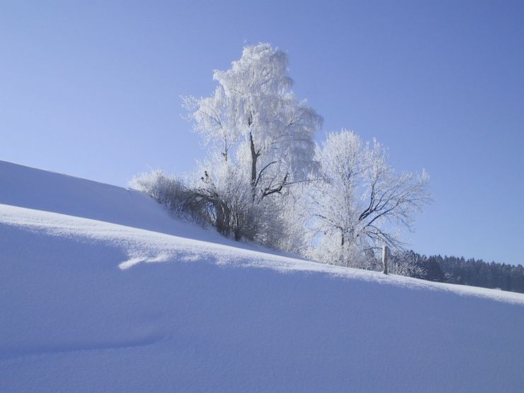 Winterwandern auf dem Carl Hirnbeinweg