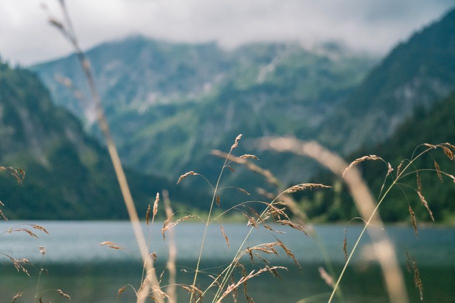Blick auf den Vilsalpsee