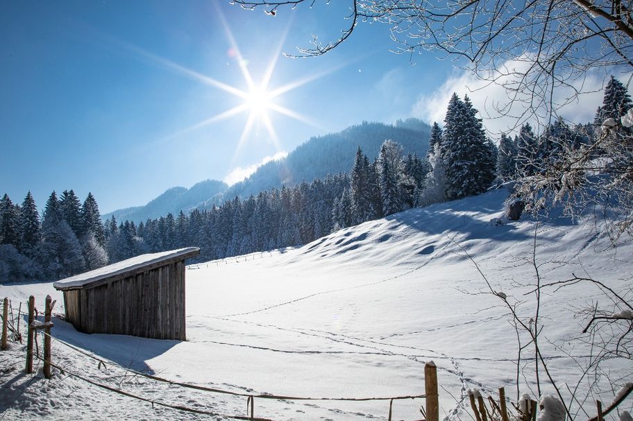 Die Sonne strahlt über dem Falkenstein