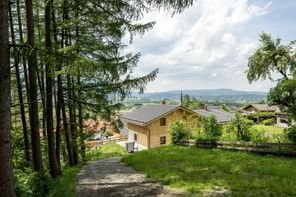 Blick aus unserem Wichtelwald