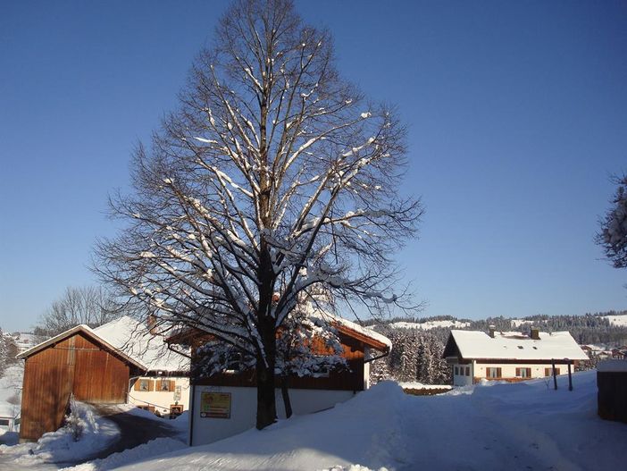 Bauernhof Gästehaus Winter