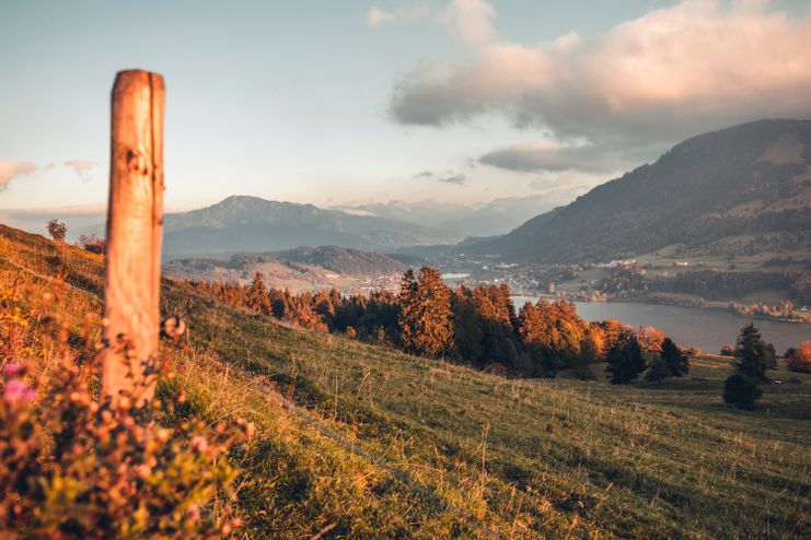 Oberhalb des Großen Alpsees