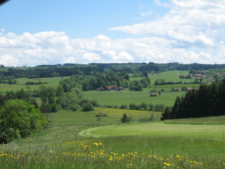 Wiesenlandschaft entlang der Leubas