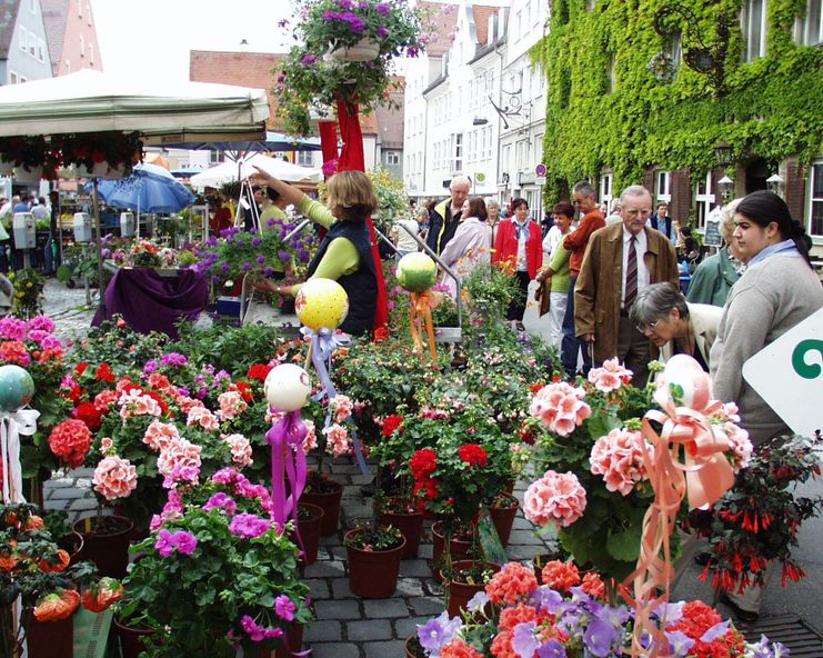 Memmingen blüht
