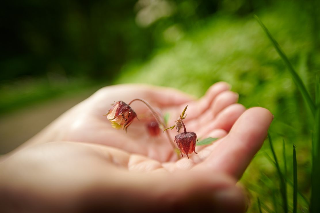 dieganzekraft-JJW_4468 - Joachim Weiler