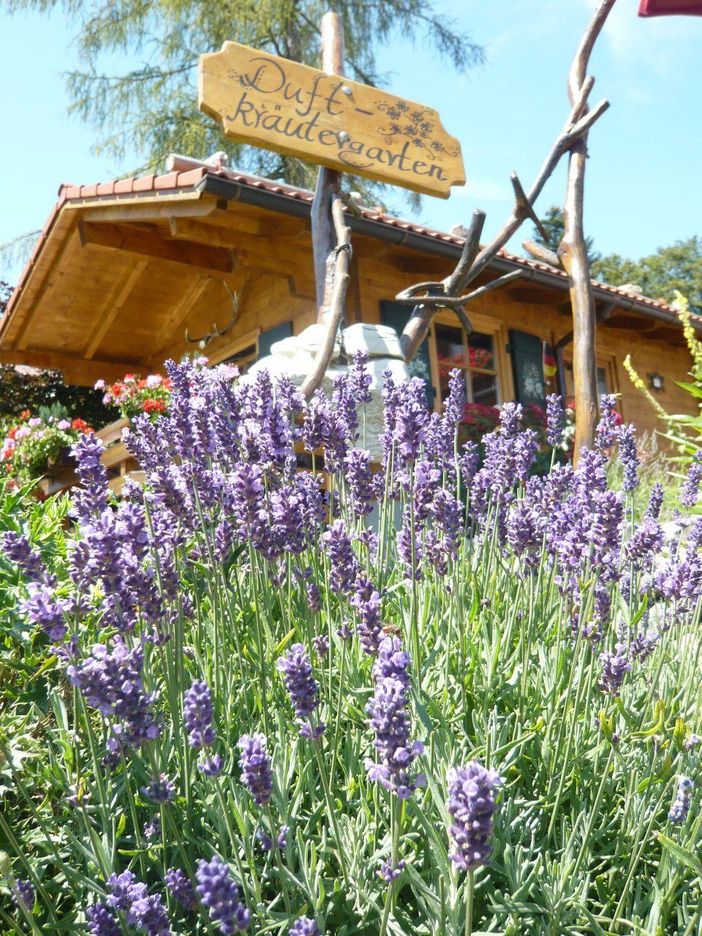 Kräutergarten- Landhotel Alphorn