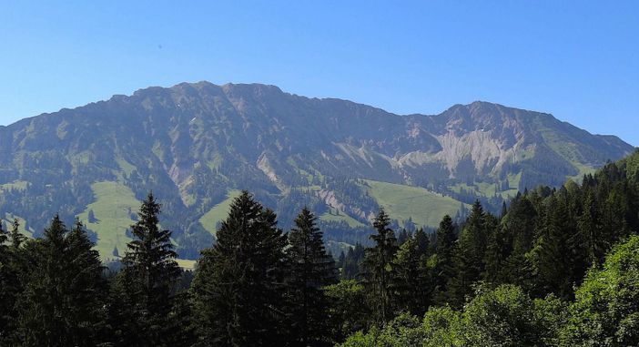 Ausblick