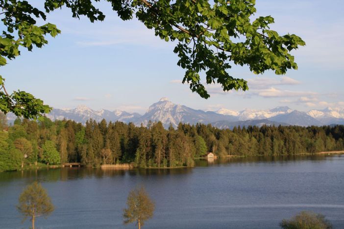 Schwaltenweiher