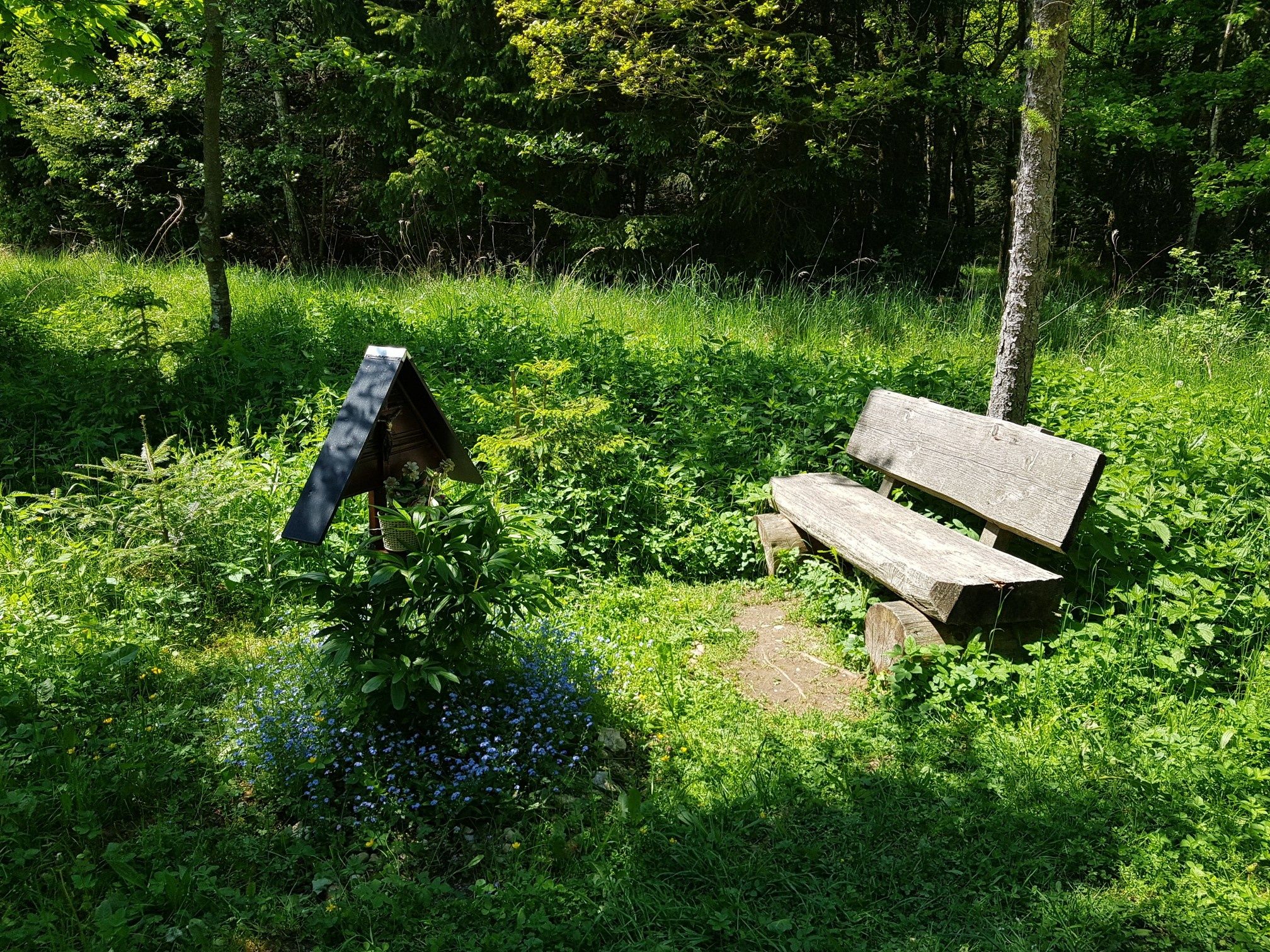 Stadtwaldrunde in Buchloe - Allgäu
