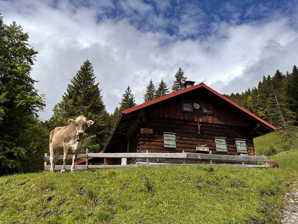 Käser-Alpe