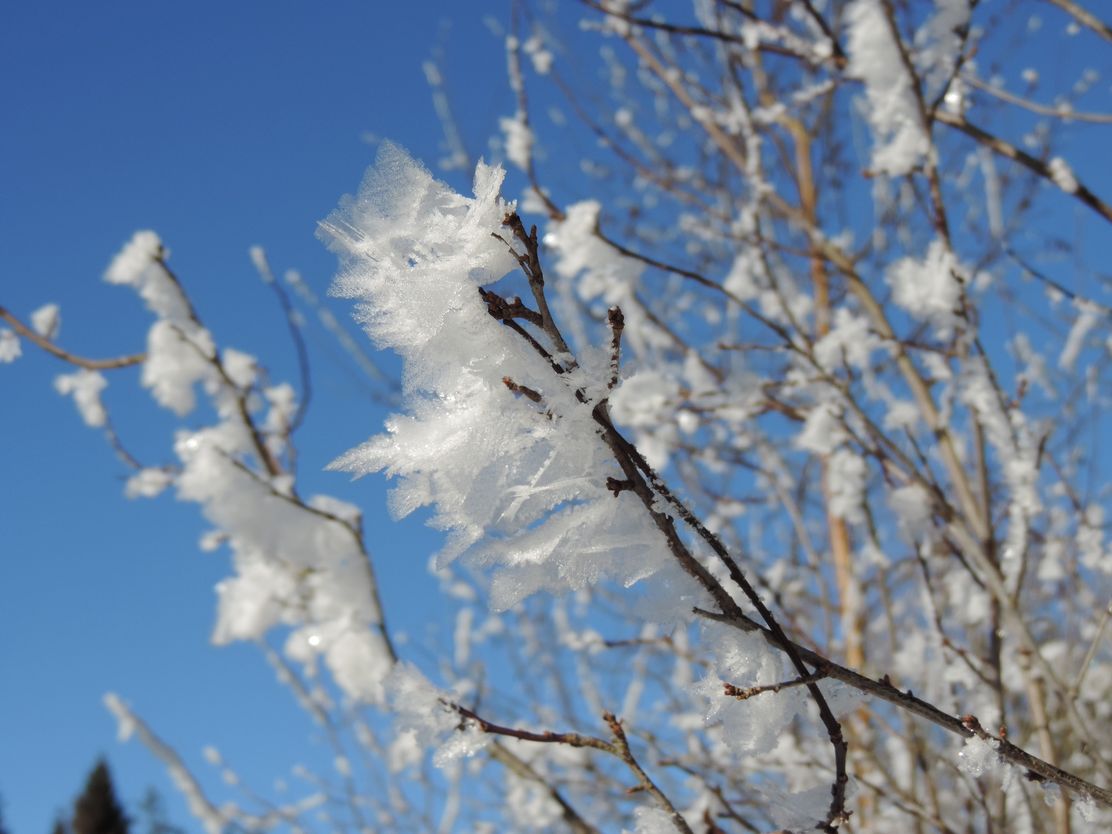 Schneekristalle beim Winterwandern im Allgäu