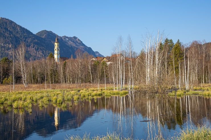 Der Moorpfad in Pfronten