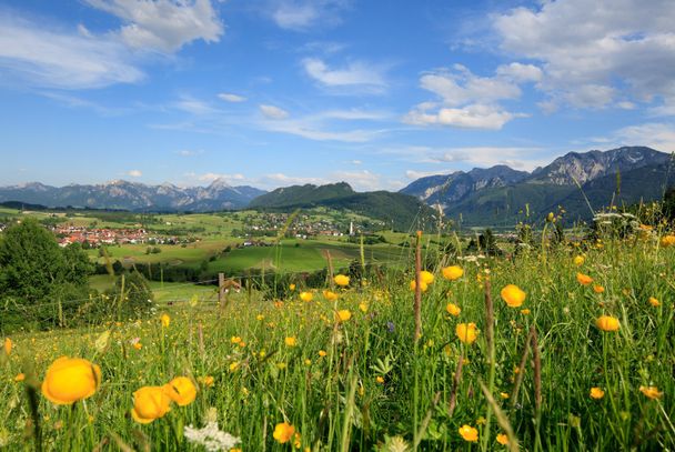 Blick vom den Bergwiesen am Edelsberg auf das Pfrontener Tal