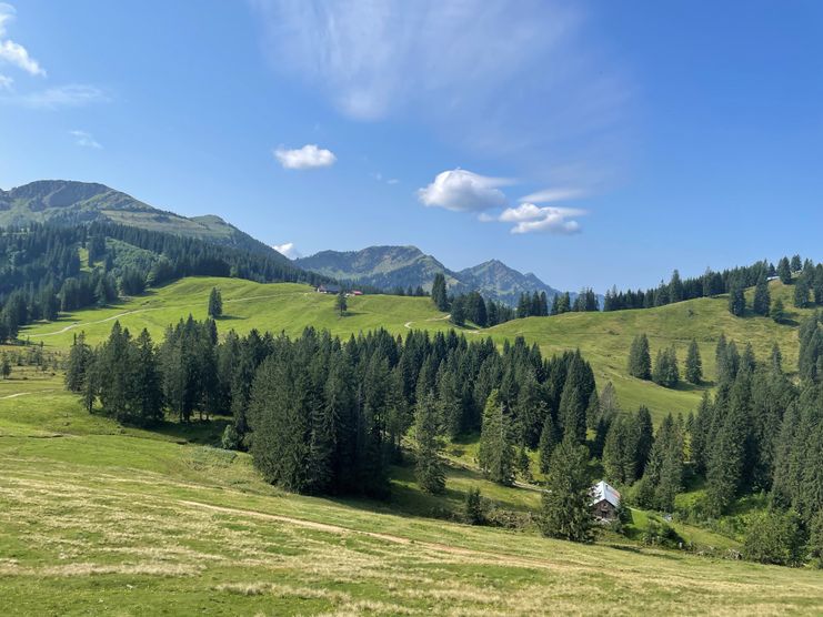 Alpgebiet um die Alpe Mittelberg