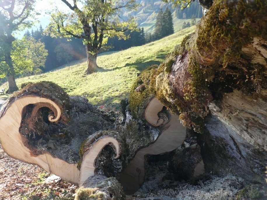 Wandern im Paradies