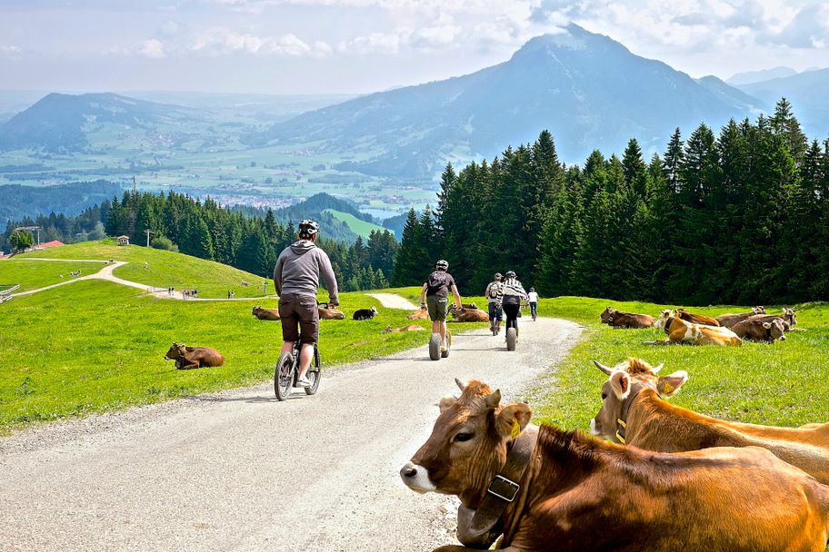 Downhill-Roller in Ofterschwang im Allgäu