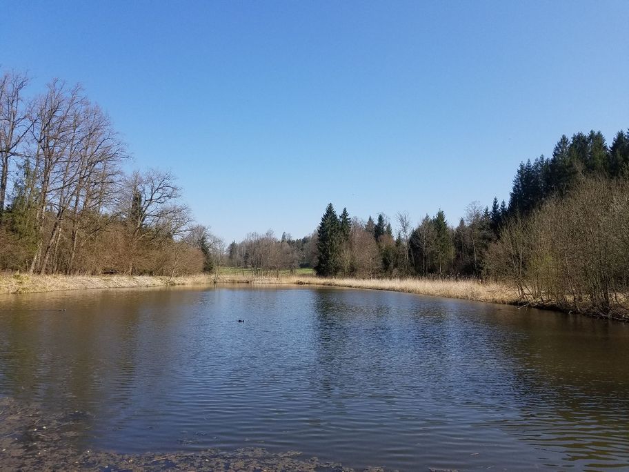 Wanderrundweg 15: "Von Leupolz rund ums Karbachtal"