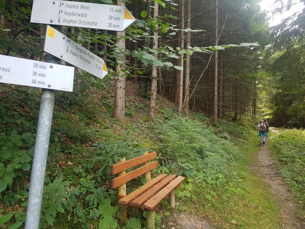 Ruhebank am Weg zur Burgruine Hopfen