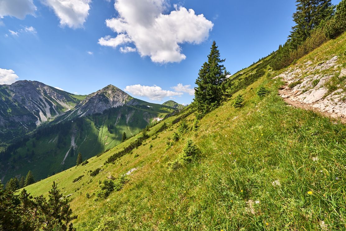 Schattwald - Zöblen Runde (mit dem Tiroler Bergwege-Gütesiegel ausgezeichnet)