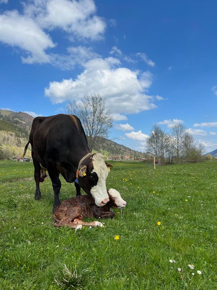 Mama und Sohn